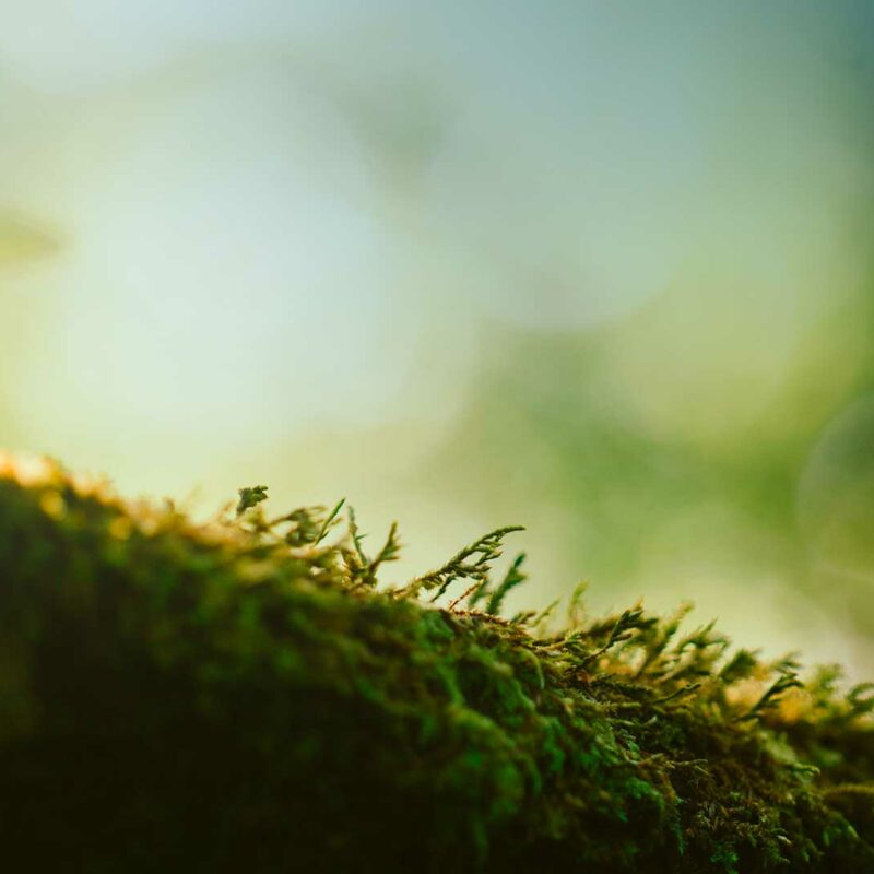 OWAC Engineering Company - THINK GREEN_ACT CIRCULAR