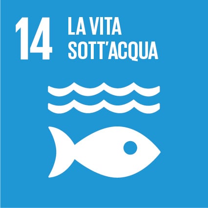 14 – La vita sott’acqua
