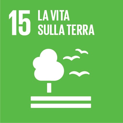 15 – La vita sulla terra